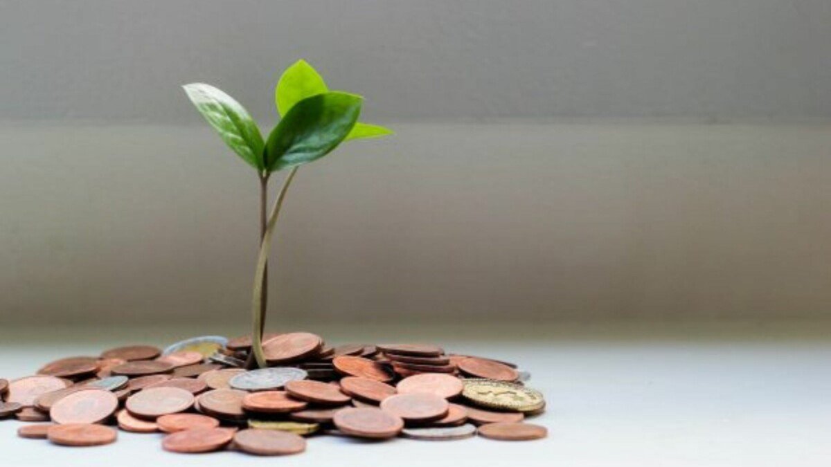 A picture of a plant growing from coins
